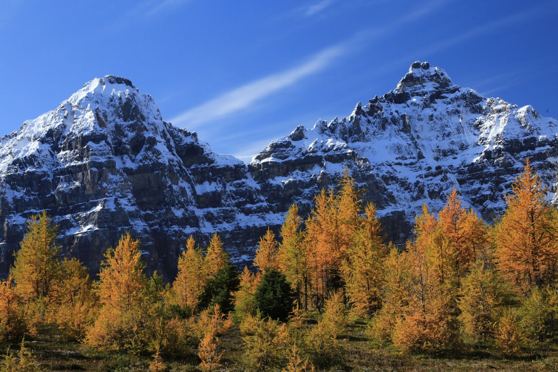 Autumn Beauty: Where to See Larches in Canmore